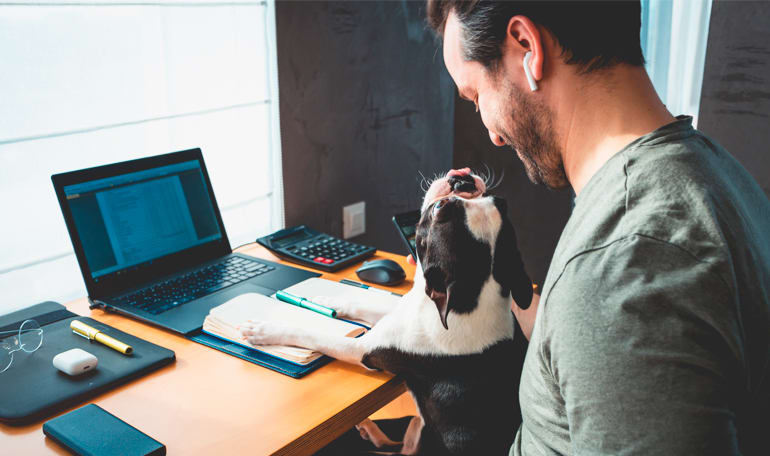 Mand hygger med hund foran laptop i hjemmet