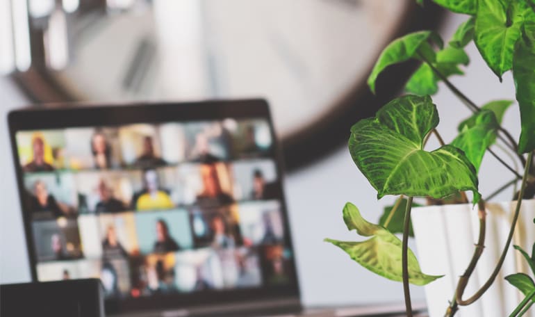 Onlinemøde i baggrund, plante i forgrund