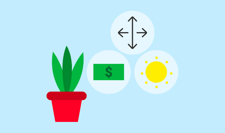Grafik af plante til kontor, en pengeseddel og en sol