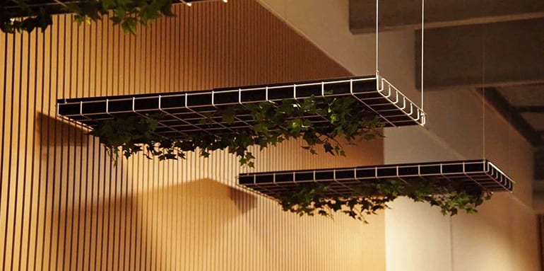 AgroVision planter - Lomax indretningsservice