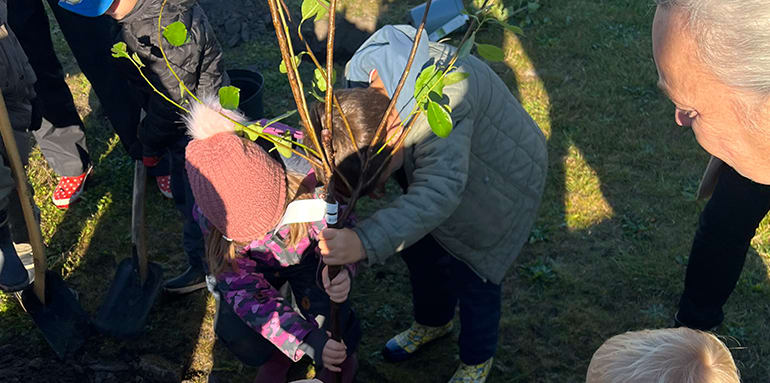 Plant et Træ Børn planter