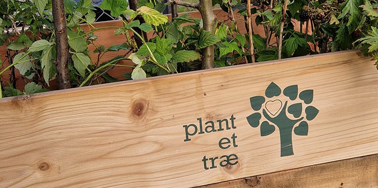 Plant et Træ kasse