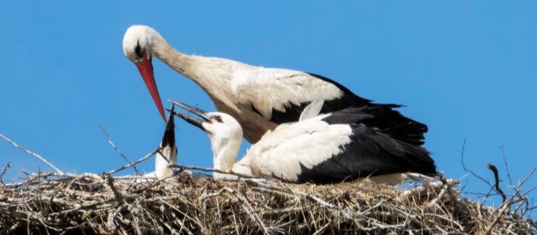 Jacobsen Broderup eng vest set mod nordvest marts 2023