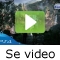 video|https://img.youtube.com/vi/XmP70nwqr_U/0.jpg