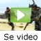 video|https://img.youtube.com/vi/ooyjaVdt-jA/0.jpg