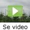 video|https://img.youtube.com/vi/3mxyiCFlRx0/0.jpg