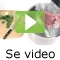 video|https://img.youtube.com/vi/FZtPmZTrTfQ/0.jpg