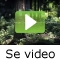 video|https://img.youtube.com/vi/Z0FD3MdqOr4/0.jpg