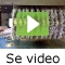 video|https://img.youtube.com/vi/bF-dYJT5wfs/0.jpg