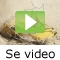video|https://img.youtube.com/vi/haPvuhznuyI/0.jpg