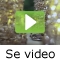 video|https://img.youtube.com/vi/pFb2qUh4UpQ/0.jpg