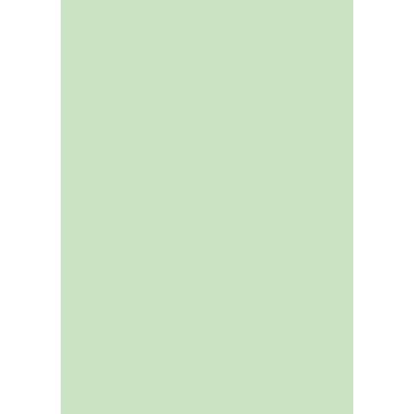 Image Coloraction A4, 120g, 250ark, Pastel Green