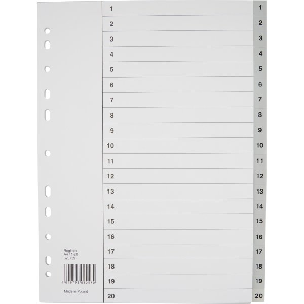 Budget Register | A4 | Plast | 1-20