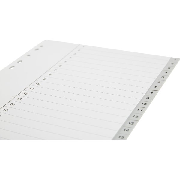 Budget Register | A4 | Plast | 1-20