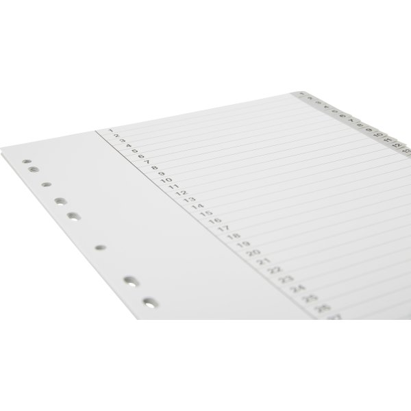 Budget Register | A4 | Plast | 1-31