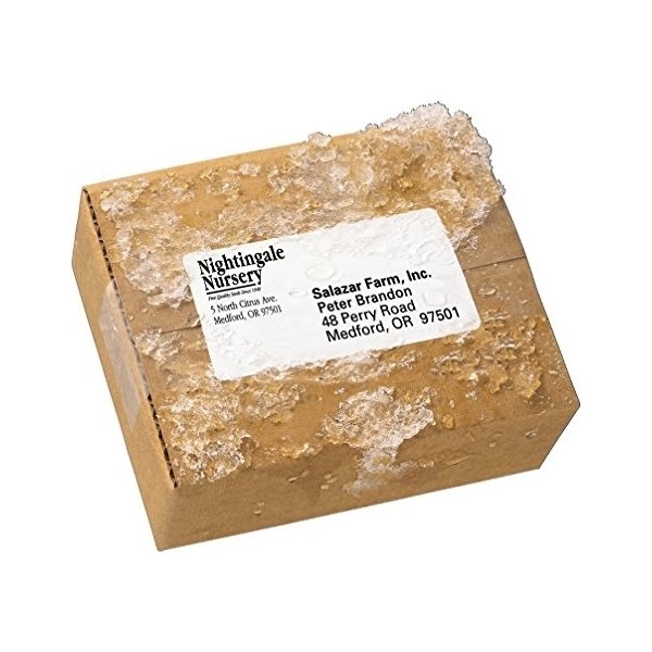 Avery L7993 Etiketter | 99,1x67,7 mm | 200 stk.