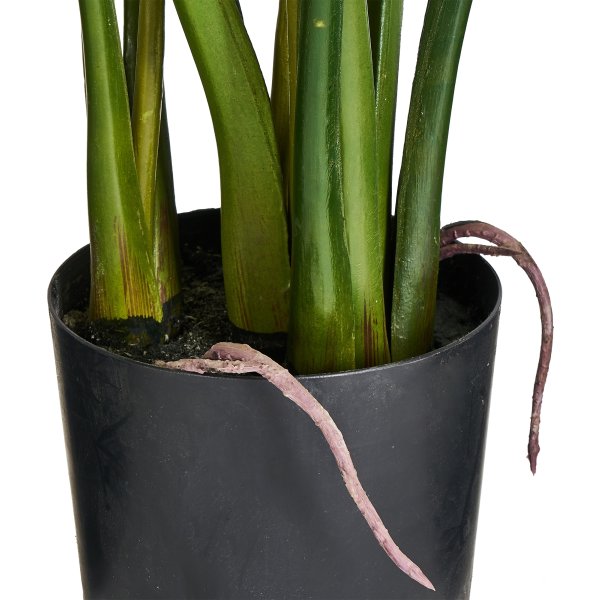 Monstera Plante inkl. potte, 110 cm