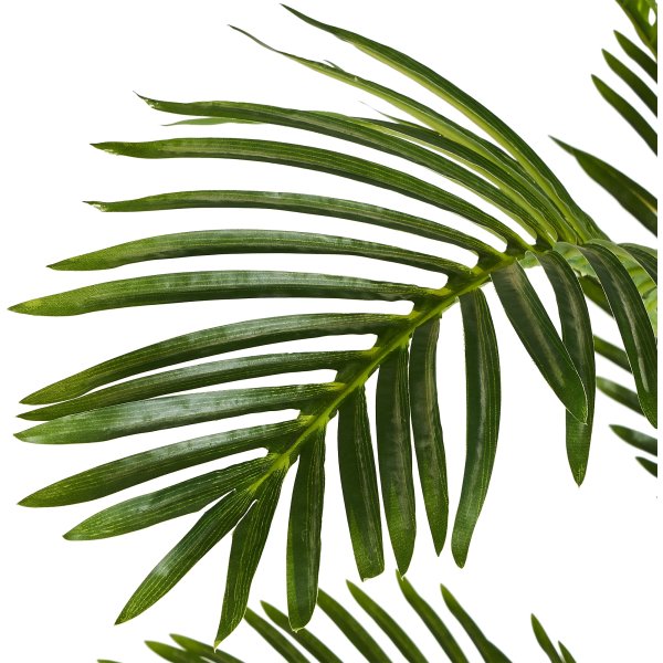 Palme Træ, 150 cm