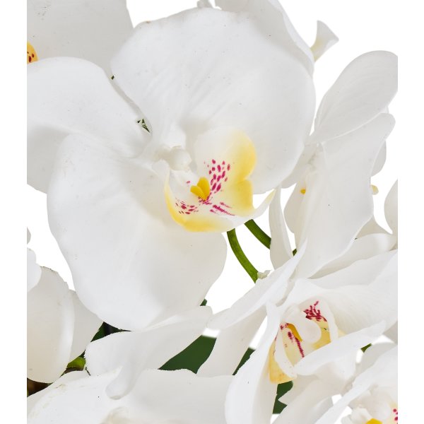 Orkide, 42 cm, Hvid