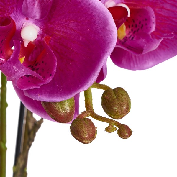 Orkide, 42 cm, Lilla