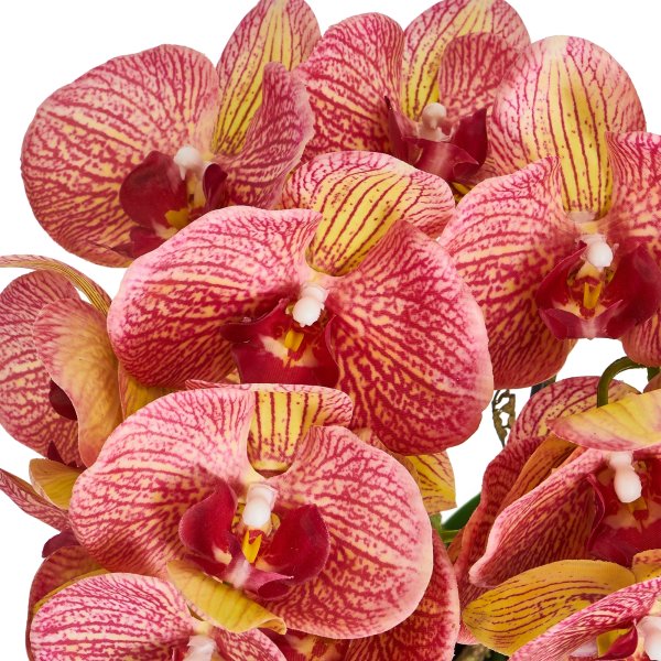 Orkide, 42 cm, Orange