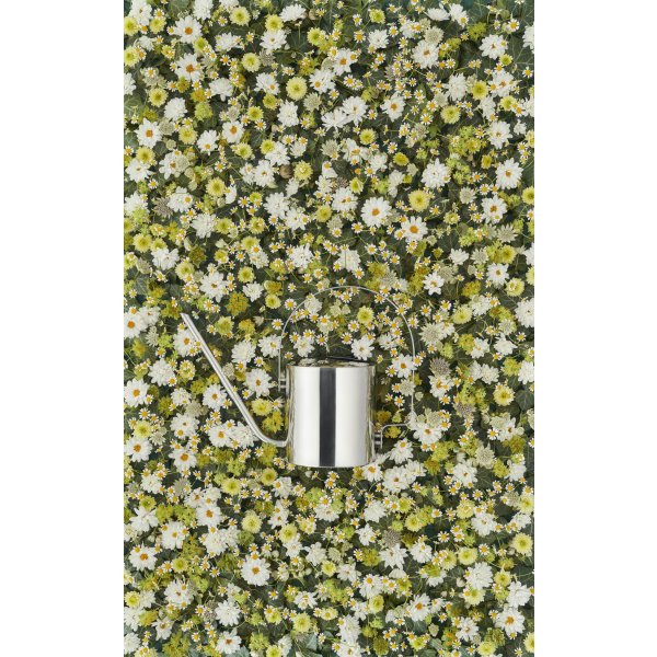 Stelton Blomstervandkande, 1,5 liter
