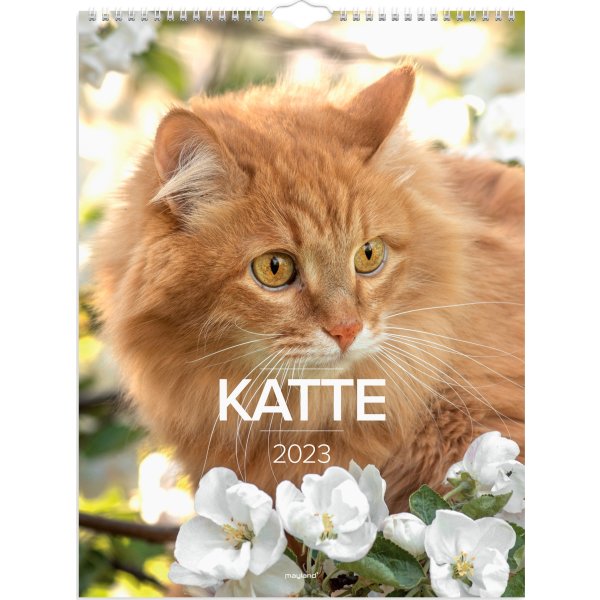 Mayland 2023 Vægkalender | Katte