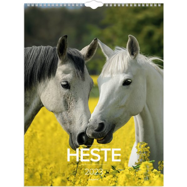 Mayland 2023 Vægkalender | Heste