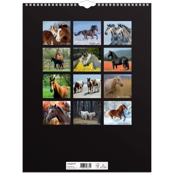 Mayland 2023 Vægkalender | Heste