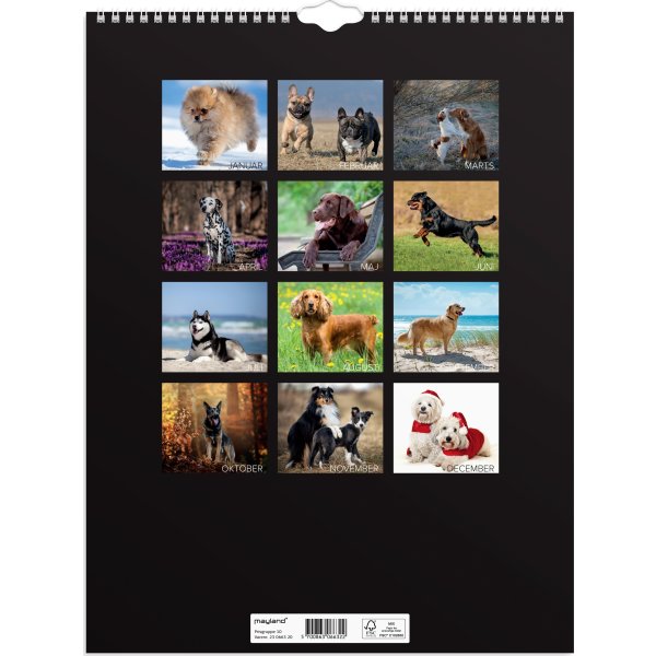 Mayland 2023 Vægkalender | Hunde