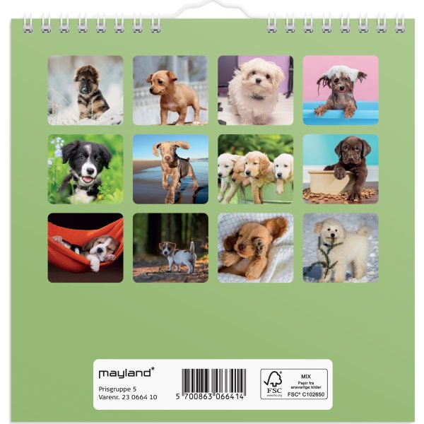 Mayland 2023 Vægkalender | Hundehvalpe