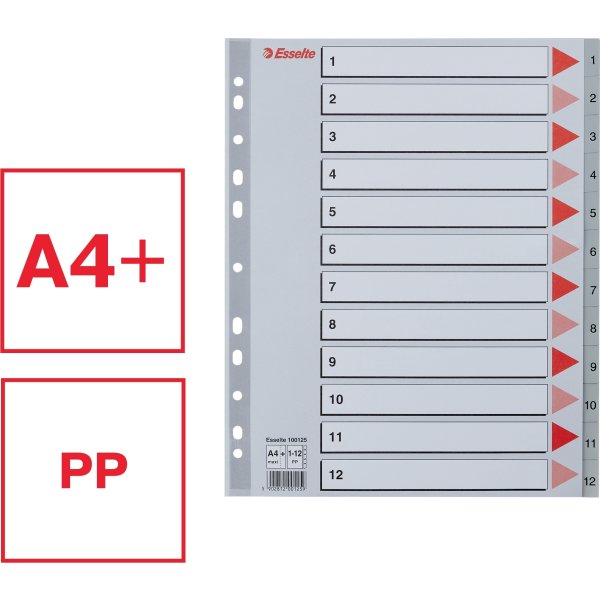 Register Esselte Maxi A4 1-12 Grå