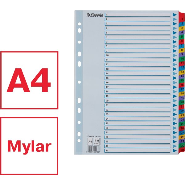 Esselte Mylar Register | A4 | Karton | 1-31