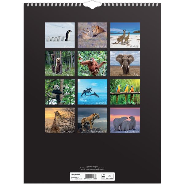Mayland 2024 Vægkalender | Verdens dyr