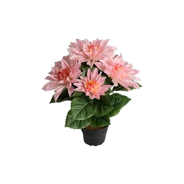 Dahlia, lyserød, 30 cm