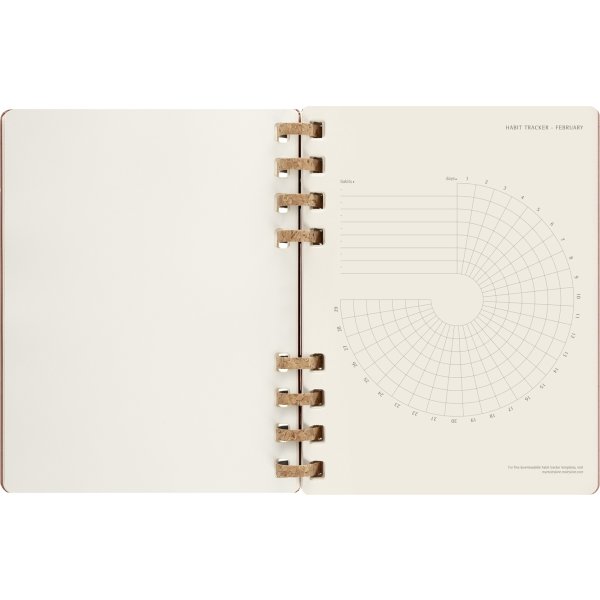 Moleskine 2024 Spiralkalender | XL | Almond