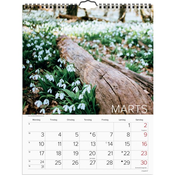Mayland 2025 Vægkalender, Dansk natur