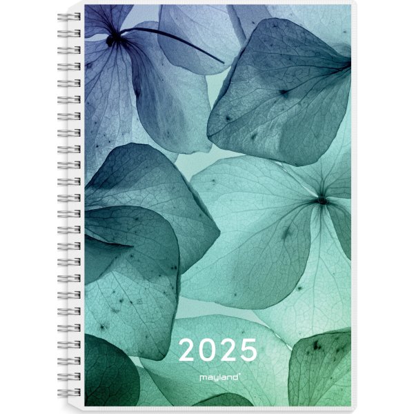 Mayland 2025 International Ugekalender, 4 ill.