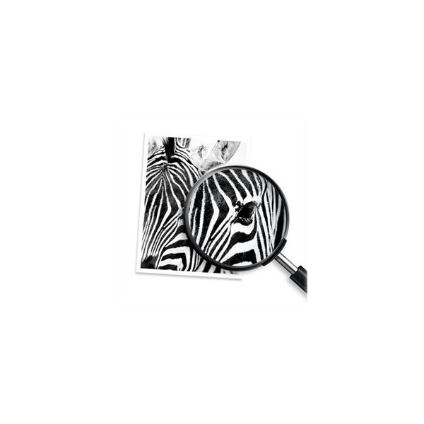 DEMO HP no 711 C1Q10A Printhoved udskiftningskit