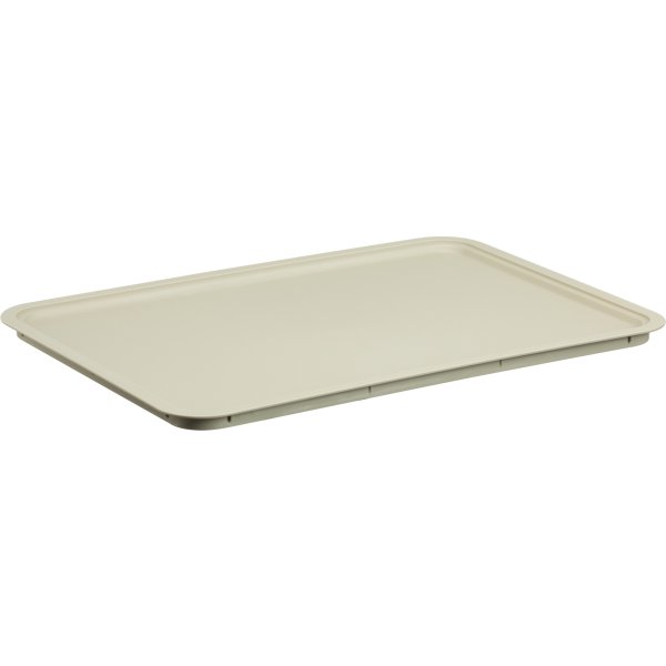Akita låg, stor, beige