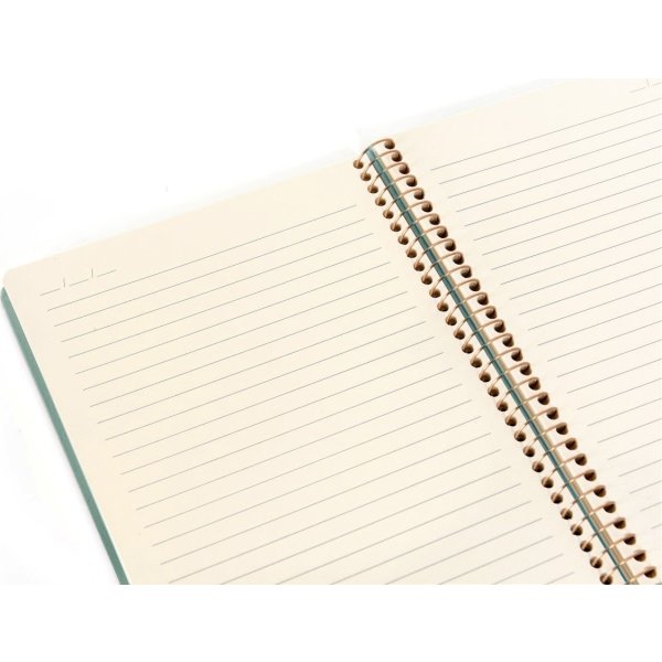 Kozo Premium Notesbog | A4 | Linjeret | Aloe Vera
