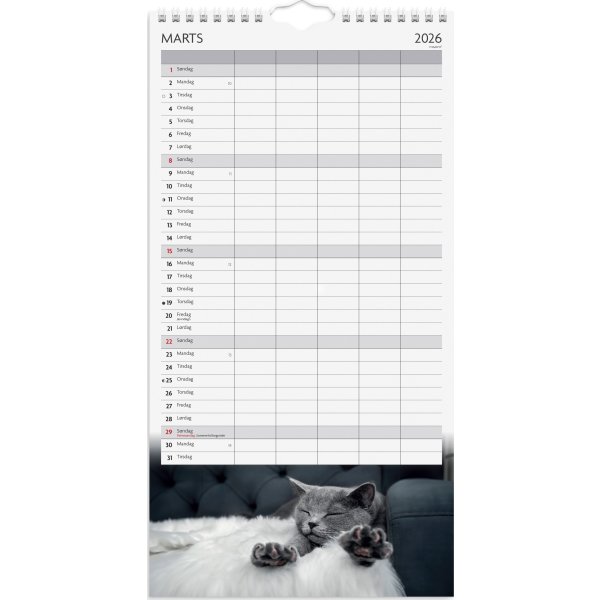 Mayland 2026 Familiekalender Katte