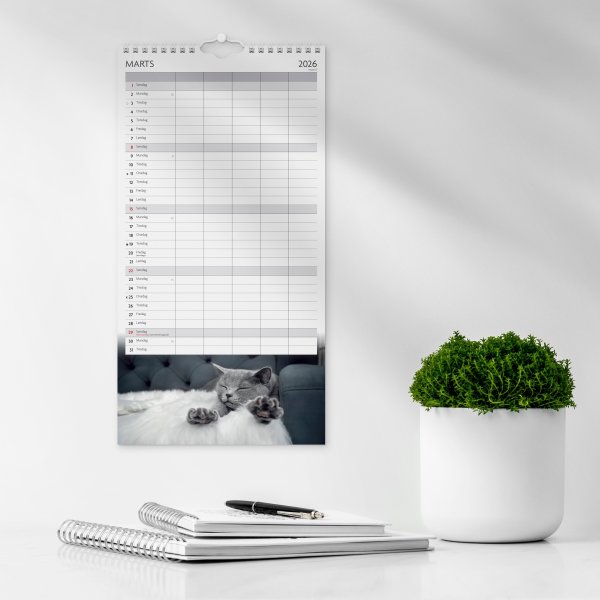 Mayland 2026 Familiekalender Katte