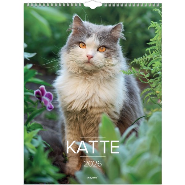 Mayland 2026 Vægkalender, katte