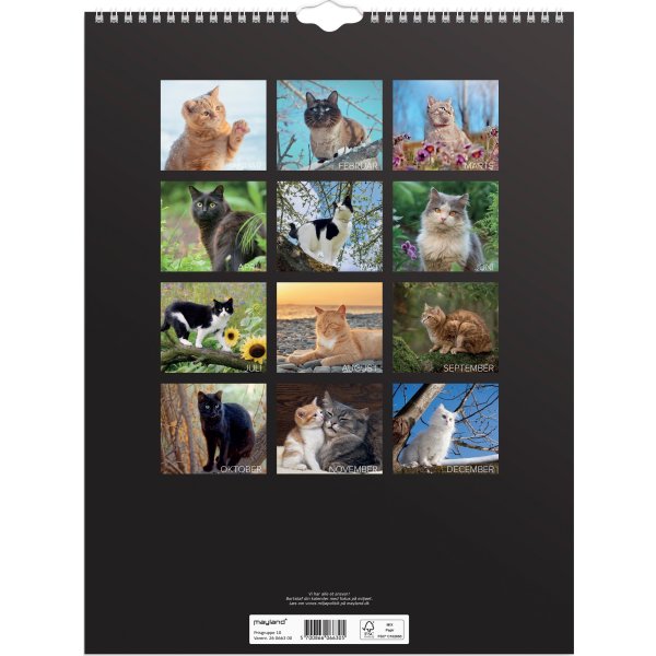 Mayland 2026 Vægkalender, katte