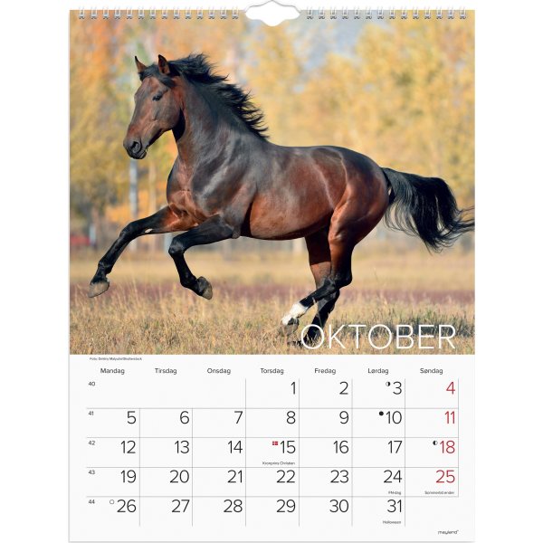 Mayland 2026 Vægkalender, heste
