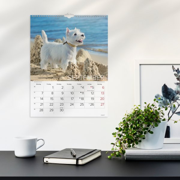 Mayland 2026 Vægkalender, hunde