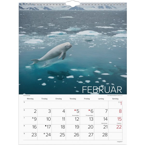 Mayland 2026 Vægkalender, verdens dyr