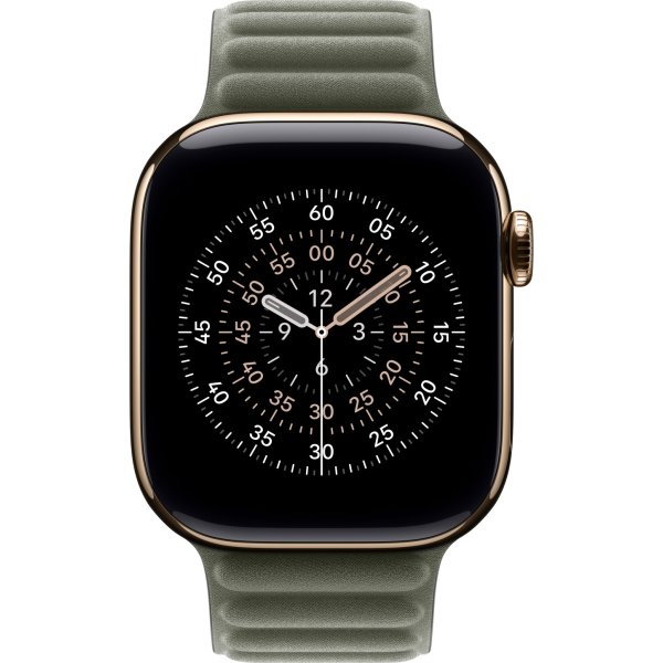 Apple Magnetisk Ledrem, Salviegrå, 42 - S/M