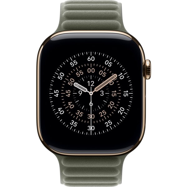 Apple Magnetisk ledrem, salviegrå, 46 mm - M/L